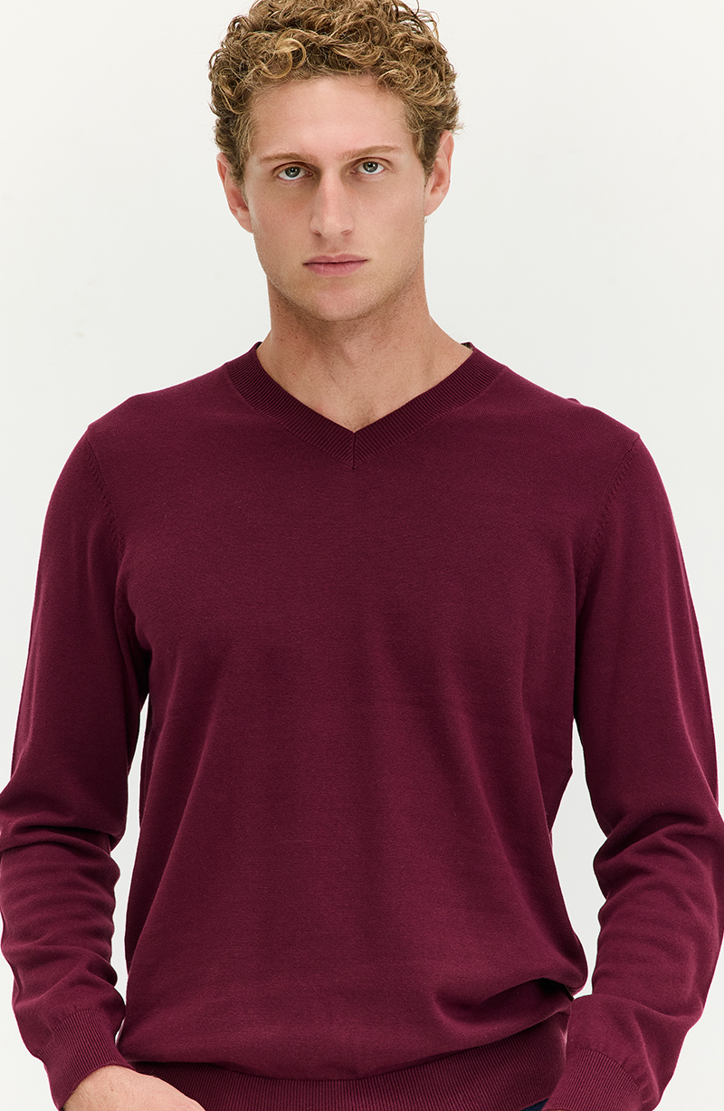 Sweater Hombre Manga Larga Escote V hover